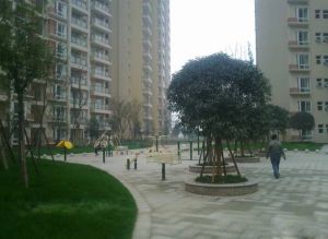 白兰地3室2厅南