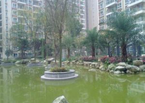 白兰地1室1厅东南