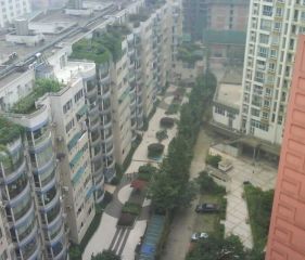 仁和世代春天3室1厅东南