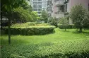 中国广厦街62号实景图