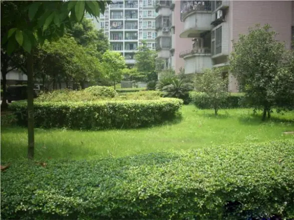 中国广厦街62号实景图