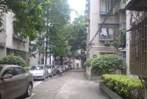 广厦街62号3室2厅东南