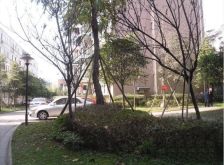经典魅力2室1厅南北