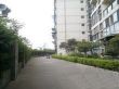 绿茵豪庭实景图