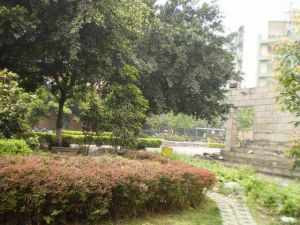 明阳家在回廊3室1厅东北