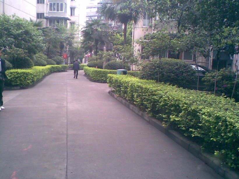 小区相关图
