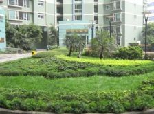 国嘉华庭 2室1厅 南