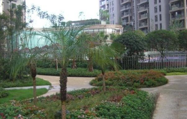小区相关图