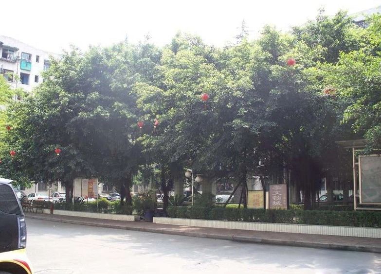 小区相关图