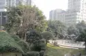 锦海国际花园实景图