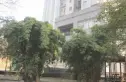 锦海国际花园实景图