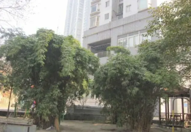 锦海国际花园实景图