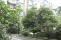 圣安卓花园一期实景图