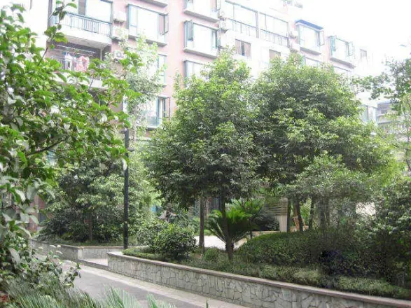 圣安卓花园一期实景图