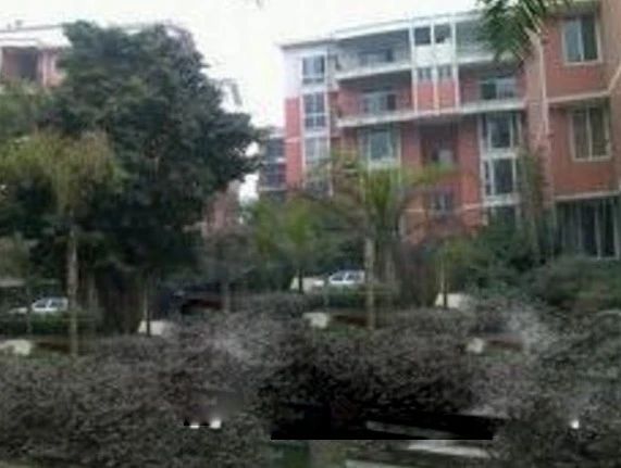 万和阳光城实景图