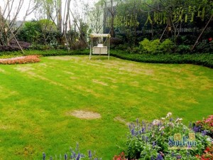 保利春天花语 2室2厅 东南 南