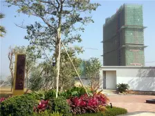 合景天峻复式毛坯业主诚意出可自由改