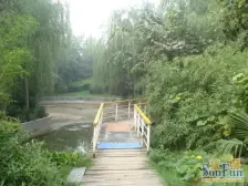 岗杜街 2室2厅 东 西