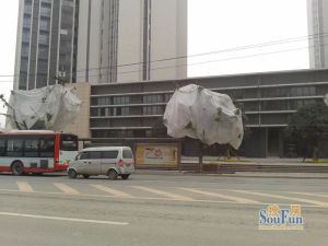 卡斯摩广场2室2厅东