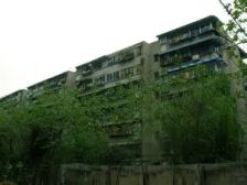 平福巷6号小区1室1厅东南