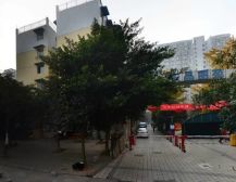 东晶丽苑 1室1厅 东