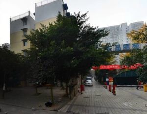 东晶丽苑1室1厅东