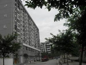 沙竹苑1室1厅东南
