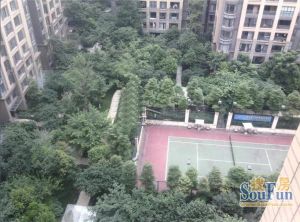 武新花园1室1厅东南