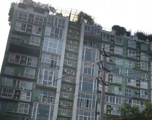 新绿季节 1室1厅 东