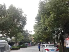 宝岛花园B 3室2厅 南