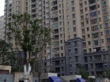 恒盛豪庭大平层 171平中层 纯毛坯 价格可谈!!!