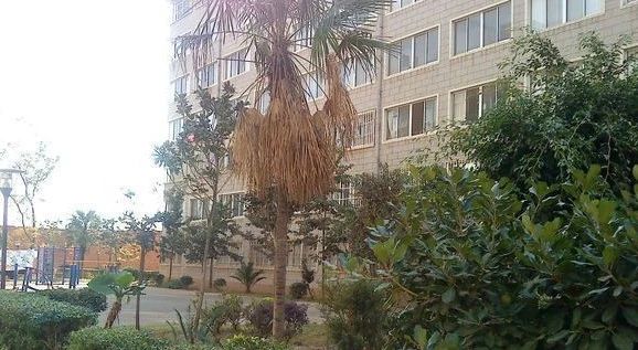 民航荣城家属院实景图
