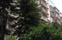 银湖花园实景图