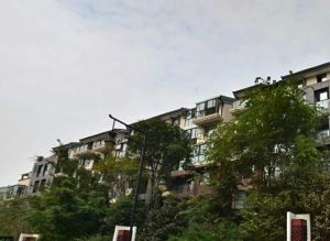 金沙西墅4室2厅南
