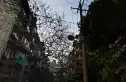 石笋街33号院实景图