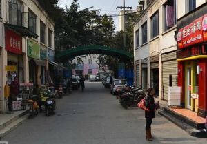 大石南路36号2室1厅东南
