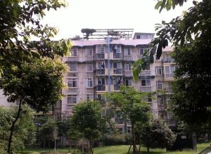 沙河北岸 3室2厅 南 北