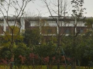 锦城豪庭5室2厅西北