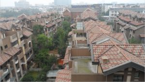翡丽岛3室1厅东南