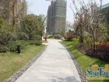 楼汪位置,楼层好,满5,V一,带车位,经典大平层