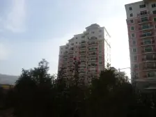 南河道 花园小区 中间楼层 通透户型 产权清晰价格可谈