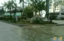 泉舜新旺府实景图