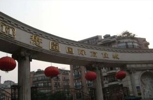 懋园国际商住城6室3厅东南