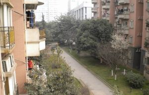 懋园国际商住城3室2厅南北