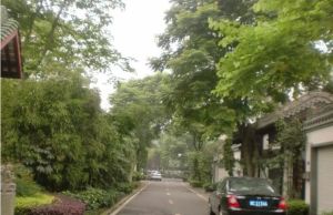 芙蓉古城唐风区4室2厅东南