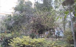 蓉铁花园2室1厅东南