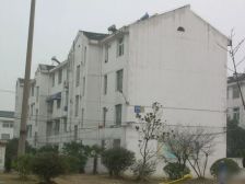 全明户型边户客厅带窗户位置很好诚心出售