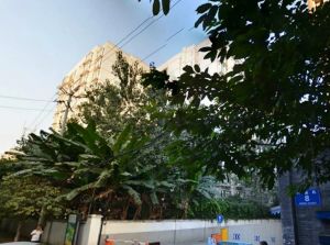 知贤坊1室1厅南