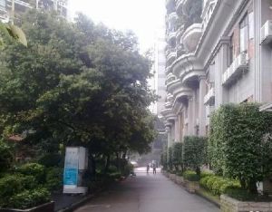 丽晴轩中间位置,凤凰楼层,南向,2+1户型,方正实用