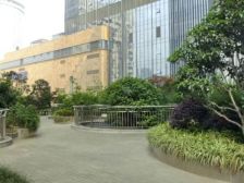城市理想1室0厅东南